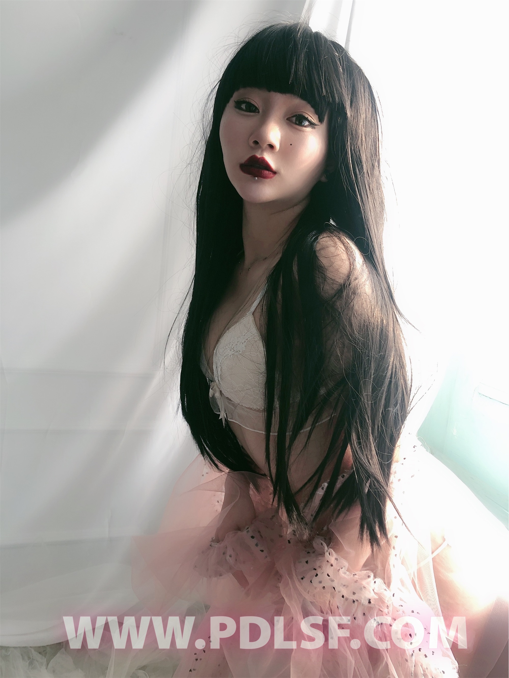 PDL潘多拉 2020.02.03 专辑No.275